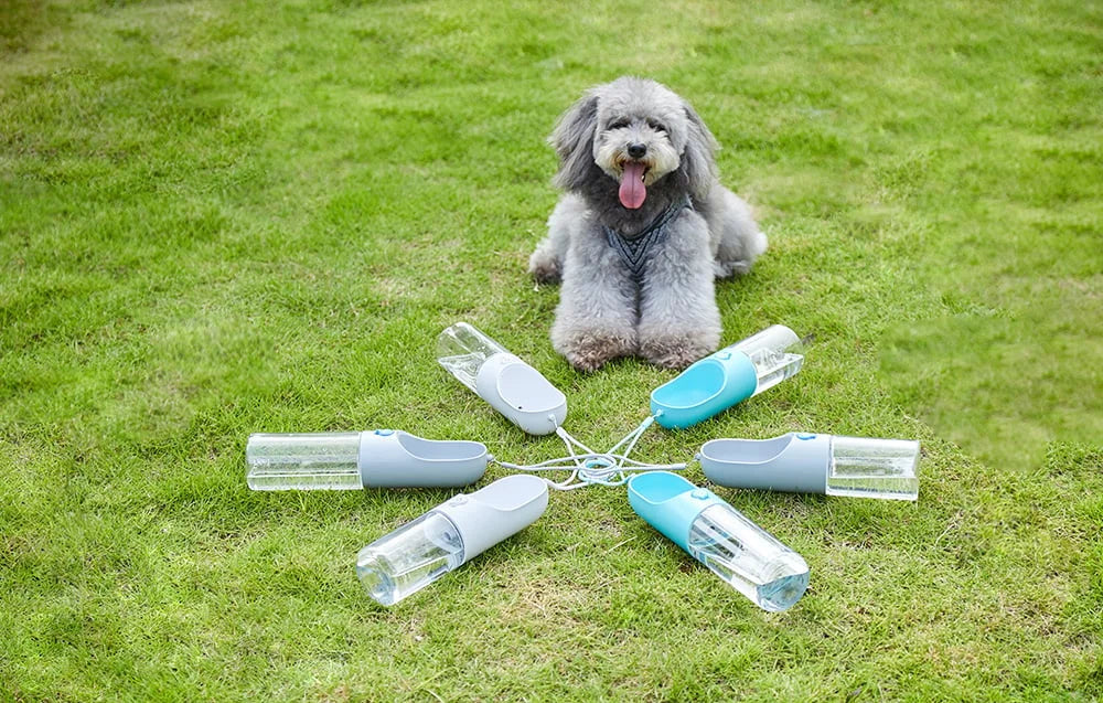 Petkit Eversweet Portativ İt və Pişik Su Qabı – 300 ml