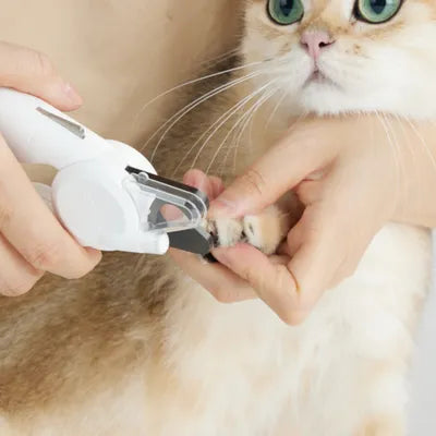 Petkit LED İşıqlı Ev Heyvanı Dırnaq Tutğacı
